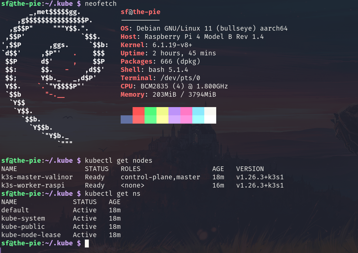 a guide to running a K3s cluster on a Raspberry Pi Shadow Facsimile